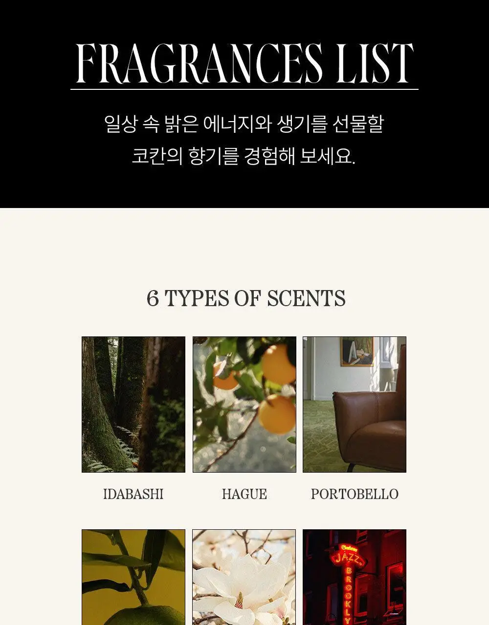 [시트러스] 코칸 오브제 디퓨저 170ml 타가이타이 상세페이지 21